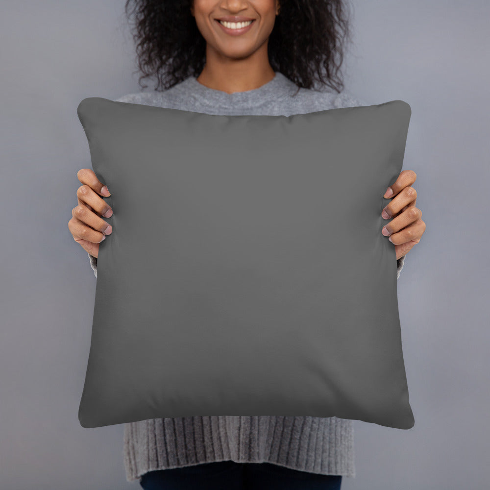 Black Hole Pillow 2